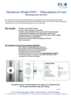 pdf_preview