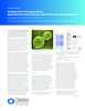 pdf_preview