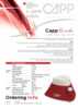 pdf_preview