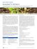 pdf_preview